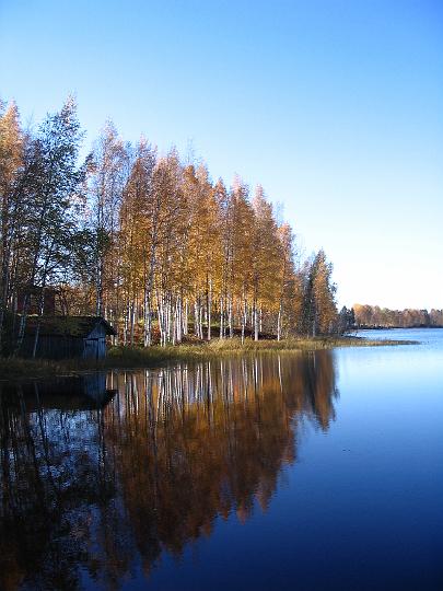 viiru 290907 005.jpg - Syksymaisemaa meidän rannasta / Autumn in our lakeside